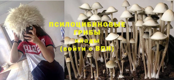 ALPHA-PVP Баксан