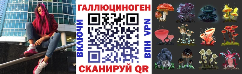 МЕГА как зайти  Кушва  Псилоцибиновые грибы Psilocybine cubensis  хочу  